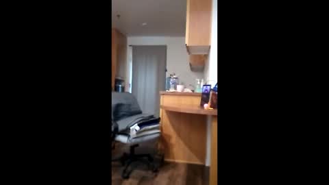 salis1981 online show from April 16, 2026, 6:09 pm