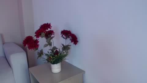 Snapshot of salome__2002 chatting on July 6, 2026, 12:13 pm salome__2002 online show from July 6, 2026, 12:13 pm