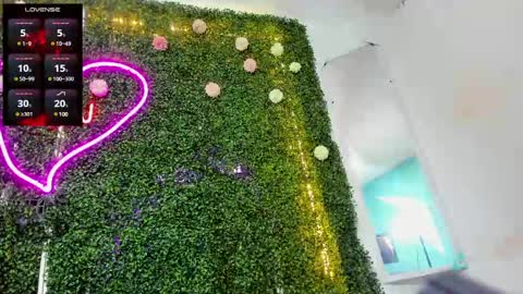 salome online show from December 12, 2024, 10:20 pm