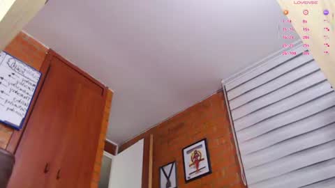 Snapshot of salome_sw chatting on June 11, 2026, 12:32 am SAMANTHA online show from June 11, 2026, 12:32 am