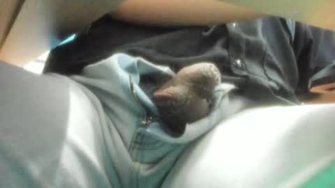 Snapshot of salvadorfaust_ chatting on December 15, 2024, 9:13 am Salvador online show from December 15, 2024, 9:13 am