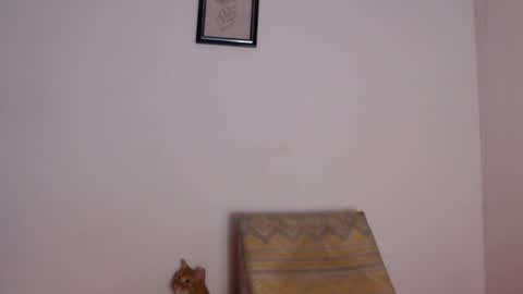Snapshot of salvatore_amator chatting on April 26, 2026, 2:04 pm salvatore_amator online show from April 26, 2026, 2:04 pm