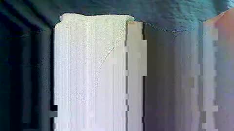 sam5554401727 online show from April 17, 2026, 7:39 pm