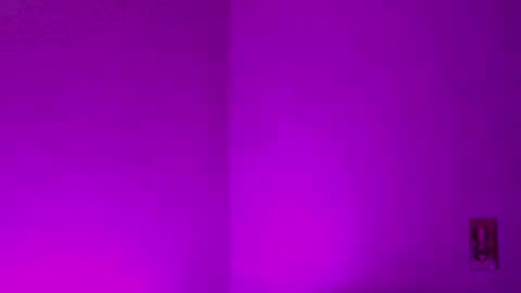 Snapshot of samdemia chatting on December 27, 2024, 2:58 am Sam Demia online show from December 27, 2024, 2:58 am