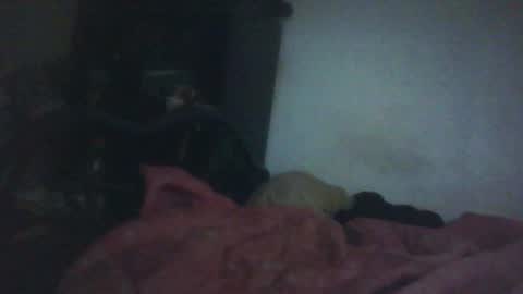 Snapshot of samedisamedi1nouveau chatting on October 18, 2025, 11:33 am Samedisamedi1nouveau online show from October 18, 2025, 11:33 am