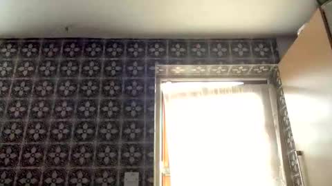 samegee online show from October 16, 2025, 7:20 am