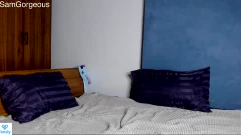 Snapshot of samgorgeous chatting on December 9, 2024, 3:11 pm Fansly - Top4fans online show from December 9, 2024, 3:11 pm