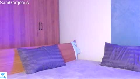 Snapshot of samgorgeous chatting on January 6, 2025, 12:24 pm Fansly - Top4fans online show from January 6, 2025, 12:24 pm