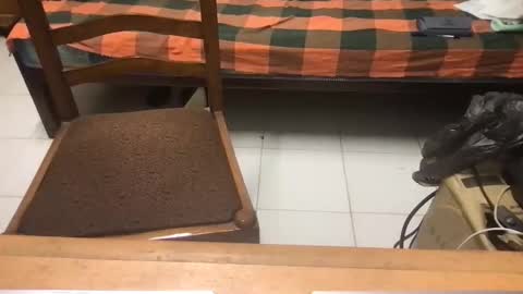 samhotbbc7 online show from October 19, 2025, 12:33 am