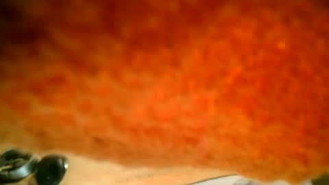 samueltal online show from October 16, 2025, 7:37 pm