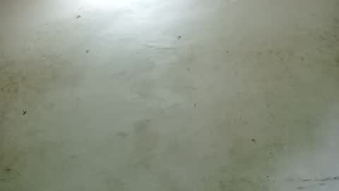 Snapshot of santichai561323 chatting on February 24, 2025, 2:51 am santichai561323 online show from February 24, 2025, 2:51 am