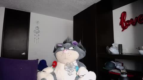 Snapshot of santii_rose chatting on January 20, 2025, 6:53 pm Santii online show from January 20, 2025, 6:53 pm