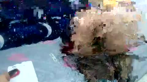 Snapshot of sara_love43 chatting on February 2, 2025, 3:54 am Sara love online show from February 2, 2025, 3:54 am