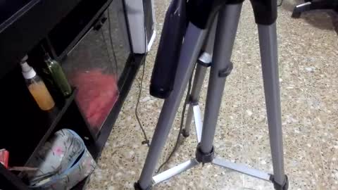 sara_salgado online show from February 11, 2026, 11:04 am