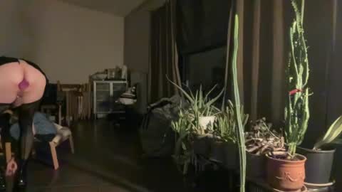 Snapshot of sarafossette chatting on July 20, 2026, 1:42 am Sara Fossette online show from July 20, 2026, 1:42 am