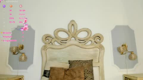 Snapshot of saralloyd chatting on December 4, 2024, 2:15 pm Sara online show from December 4, 2024, 2:15 pm