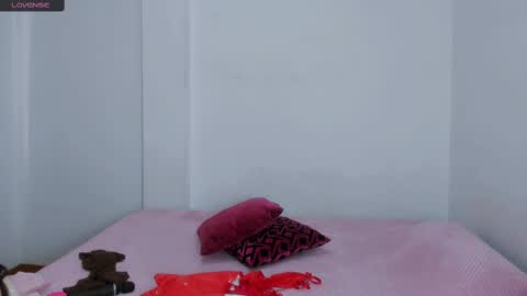 Snapshot of sarasweet_4 chatting on March 5, 2025, 5:29 pm Sara   online show from March 5, 2025, 5:29 pm