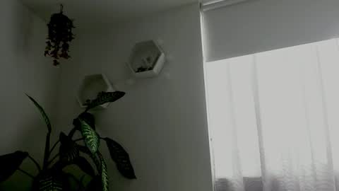 Saray  online show from February 9, 2026, 9:41 pm