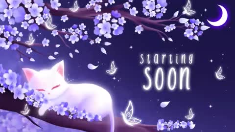 Sassy Sami Kittyn online show from December 2, 2025, 6:08 am