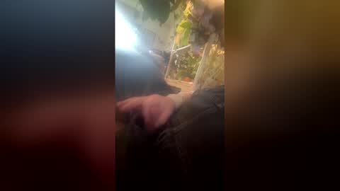 satchster online show from April 26, 2026, 10:18 pm