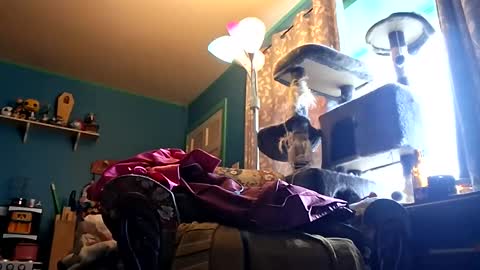 Ryan Hays online show from April 4, 2026, 9:12 pm