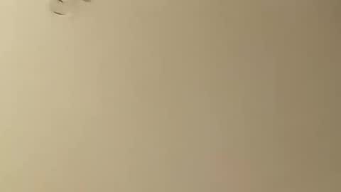 SnowBunny online show from January 26, 2025, 5:13 am