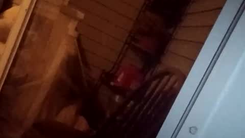 savy5150 online show from April 13, 2026, 5:02 am