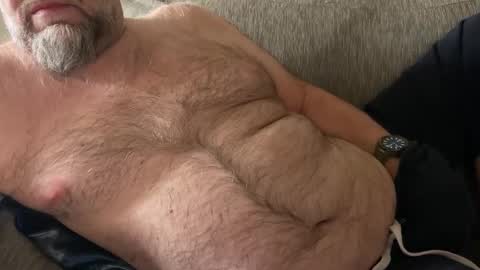 SaxBoBear online show from February 20, 2026, 2:28 pm