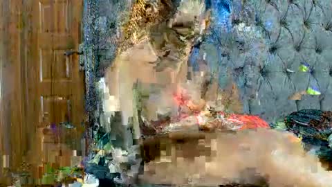 scarlet seductress online show from March 2, 2026, 11:22 pm