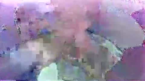 Snapshot of scoobydueingu69 chatting on November 30, 2025, 10:08 am scoobydueingu69 online show from November 30, 2025, 10:08 am