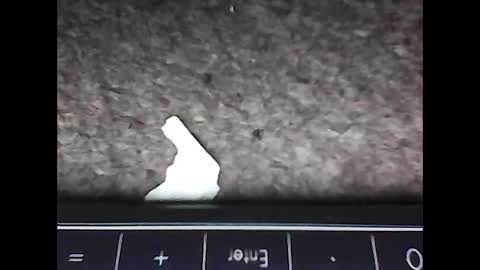 scots_repeater online show from February 14, 2025, 12:09 am