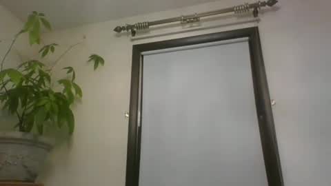 scottpbi52 online show from December 22, 2024, 12:16 pm