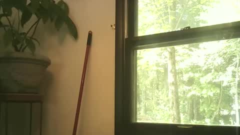 scottpbi52 online show from September 27, 2025, 3:39 pm