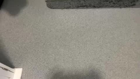 Snapshot of scottyc48 chatting on October 5, 2025, 2:04 pm scottyc48 online show from October 5, 2025, 2:04 pm