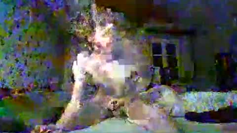 scratt67 online show from November 22, 2025, 3:38 am