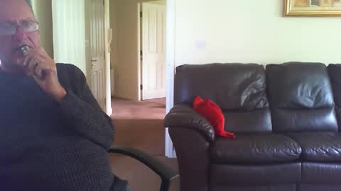 seakrait online show from April 20, 2026, 12:52 pm