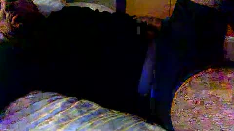 Snapshot of seanfritz1984 chatting on February 19, 2025, 12:00 pm dick online show from February 19, 2025, 12:00 pm