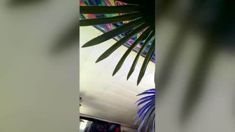 Snapshot of seanplushouse chatting on February 28, 2026, 7:48 pm seanplushouse online show from February 28, 2026, 7:48 pm