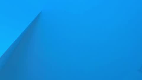 Sebastian online show from December 2, 2025, 3:45 am