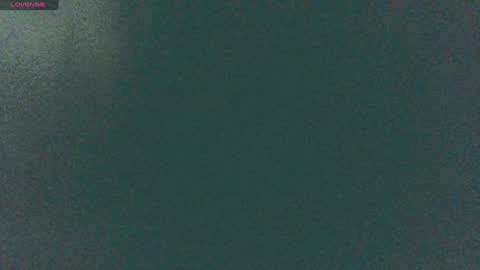 Sunny online show from December 14, 2024, 8:56 am