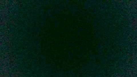 Sunny online show from March 12, 2025, 9:03 pm