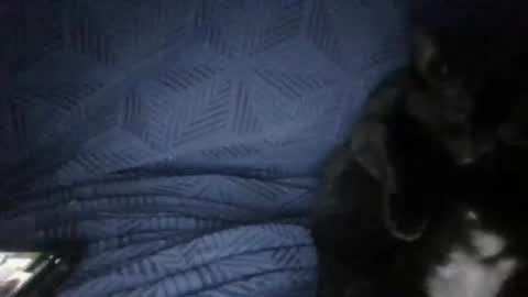 Sunny online show from March 18, 2026, 5:27 pm