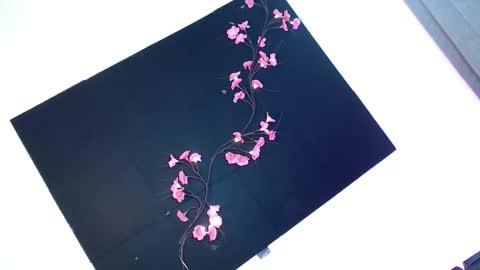 cath online show from November 28, 2025, 5:43 am