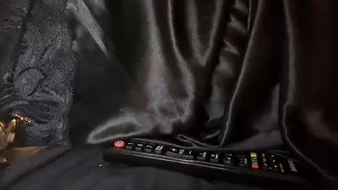 Snapshot of selfiepicdump chatting on December 10, 2024, 7:58 am Julian Kinky Bi-guy online show from December 10, 2024, 7:58 am