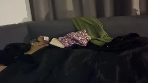 Snapshot of selfiepicdump chatting on January 3, 2025, 5:06 am Julian Kinky Bi-guy online show from January 3, 2025, 5:06 am