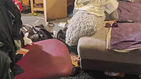 Snapshot of selfsuck_master69 chatting on April 8, 2026, 7:08 am BiG DicK online show from April 8, 2026, 7:08 am