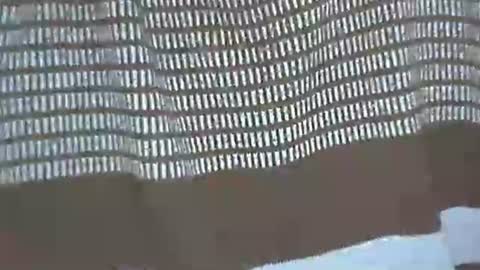 selim selim online show from November 29, 2025, 11:41 pm