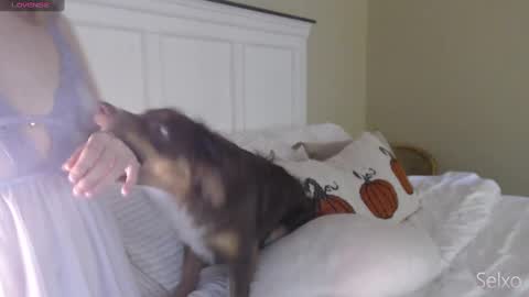 Sel online show from October 20, 2025, 1:33 pm