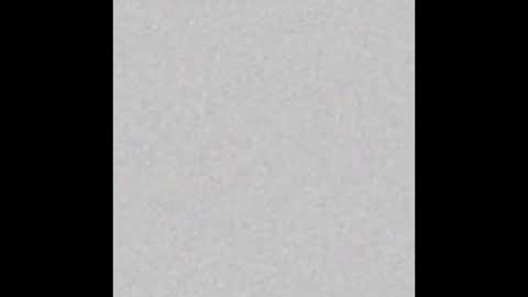 ROSE online show from December 20, 2024, 11:00 am