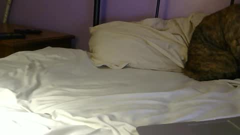 Snapshot of sexxxylibra10 chatting on April 25, 2026, 7:55 pm sexxxylibra10 online show from April 25, 2026, 7:55 pm